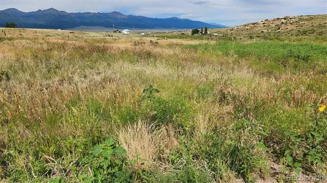 420 Belford Street Silver Cliff, CO 81252