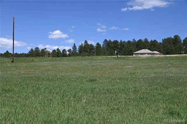 30523 Mountain View Trail Kiowa, CO 80117