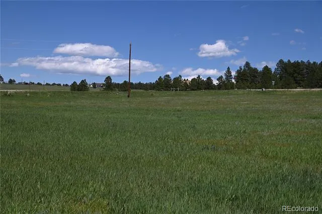 30523 Mountain View Trail Kiowa, CO 80117