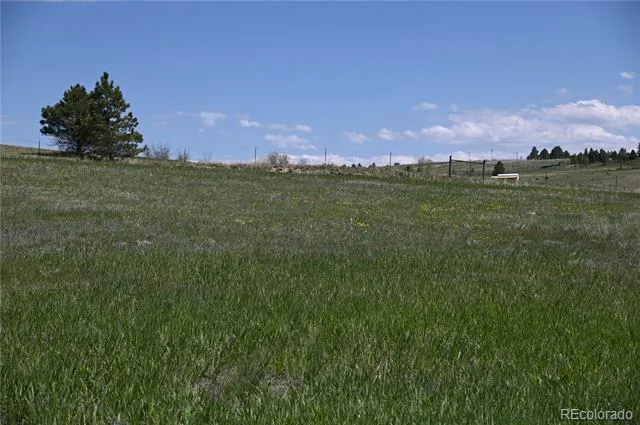 30523 Mountain View Trail Kiowa, CO 80117