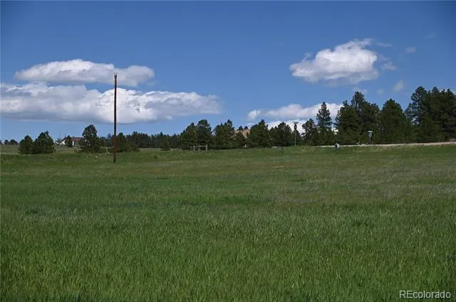 30523 Mountain View Trail Kiowa, CO 80117