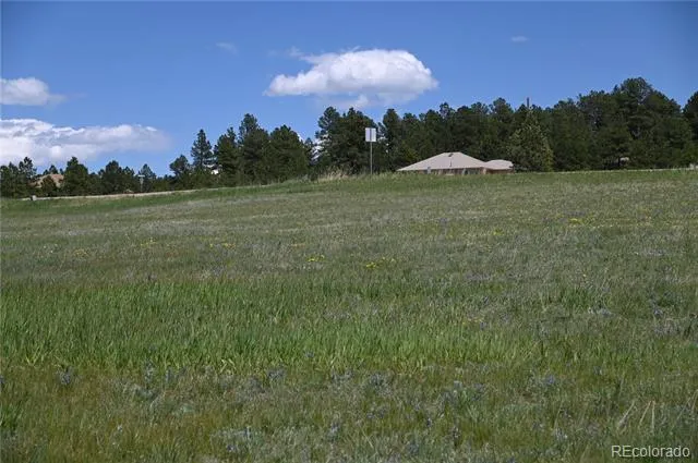 30523 Mountain View Trail Kiowa, CO 80117
