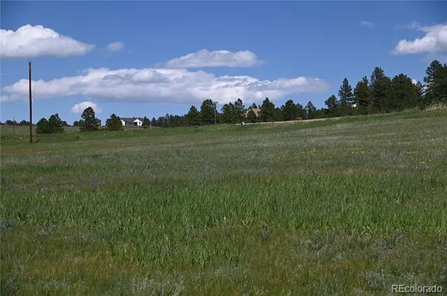 30523 Mountain View Trail Kiowa, CO 80117