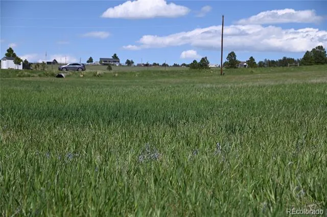 30523 Mountain View Trail Kiowa, CO 80117
