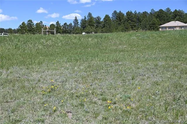 30523 Mountain View Trail Kiowa, CO 80117