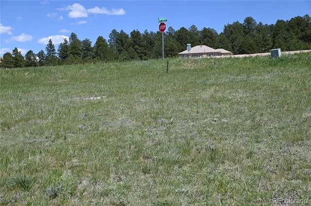 30523 Mountain View Trail Kiowa, CO 80117