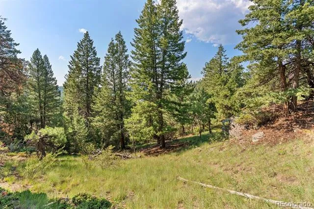 6371 Canyon Creek Road Evergreen, CO 80439