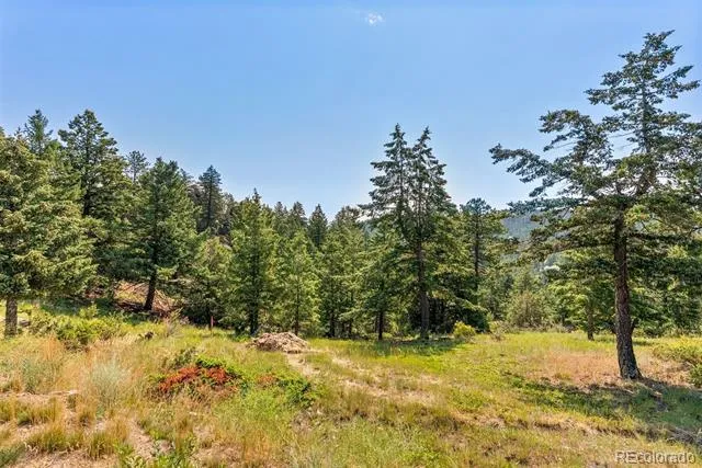 6371 Canyon Creek Road Evergreen, CO 80439