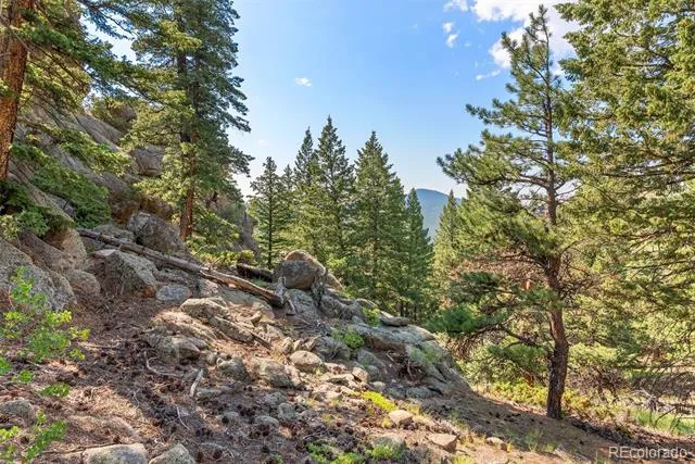6371 Canyon Creek Road Evergreen, CO 80439