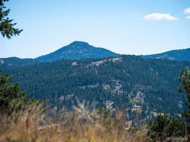 6371 Canyon Creek Road Evergreen, CO 80439