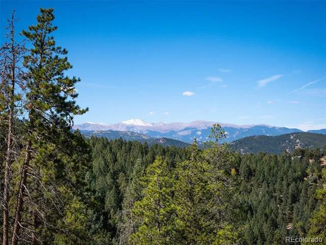 6371 Canyon Creek Road Evergreen, CO 80439