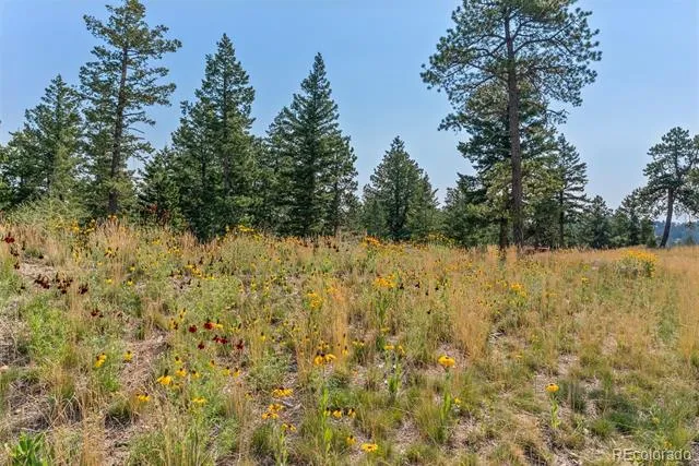 6371 Canyon Creek Road Evergreen, CO 80439
