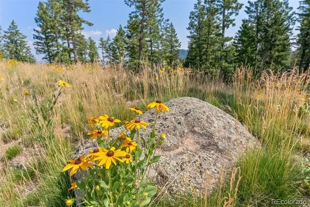 6371 Canyon Creek Road Evergreen, CO 80439