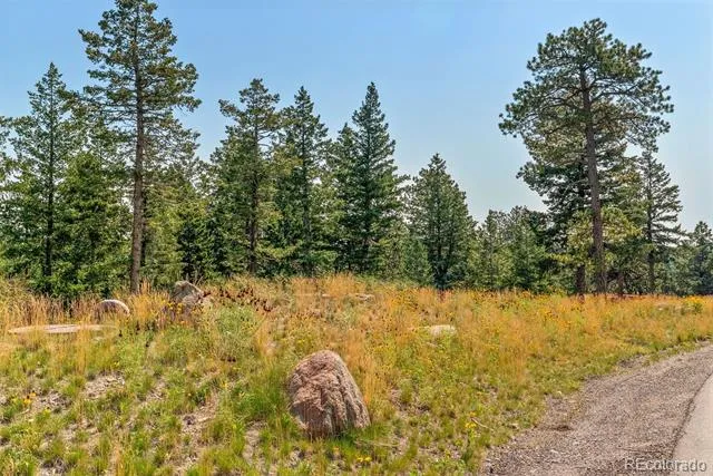6371 Canyon Creek Road Evergreen, CO 80439