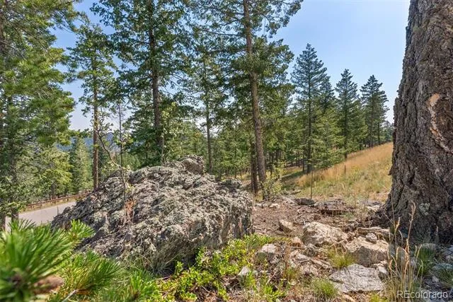6371 Canyon Creek Road Evergreen, CO 80439