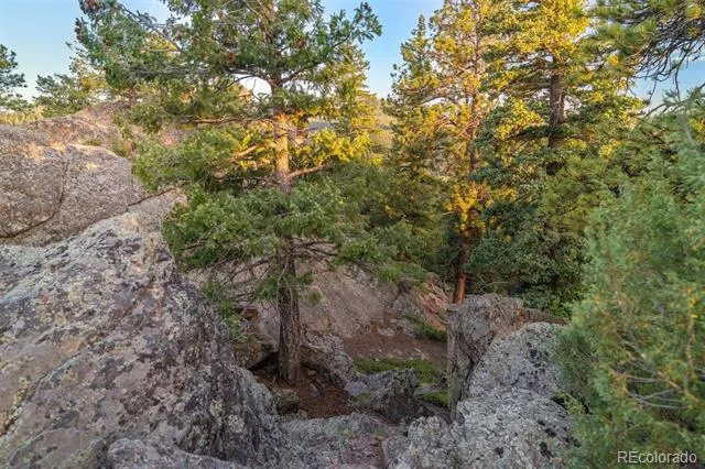 6371 Canyon Creek Road Evergreen, CO 80439