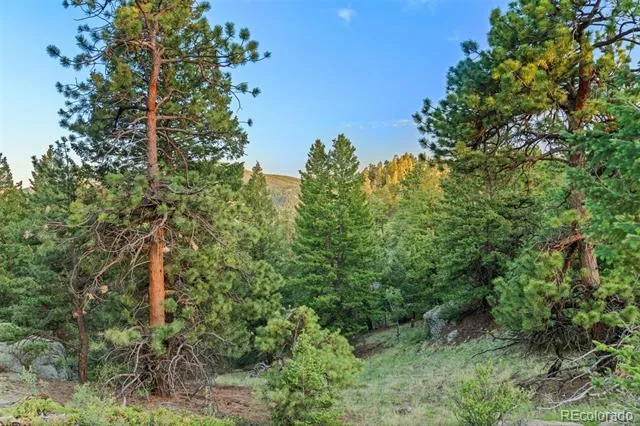 6371 Canyon Creek Road Evergreen, CO 80439
