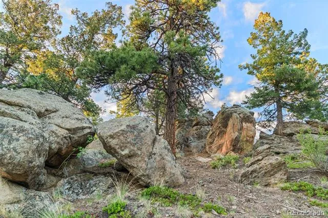 6371 Canyon Creek Road Evergreen, CO 80439