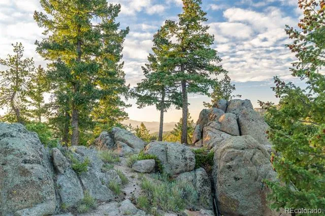 6371 Canyon Creek Road Evergreen, CO 80439