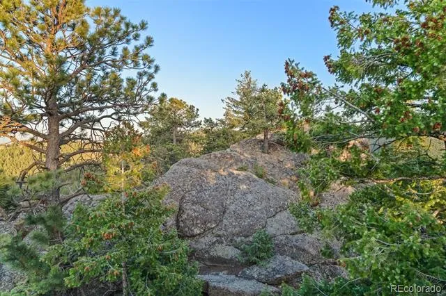 6371 Canyon Creek Road Evergreen, CO 80439