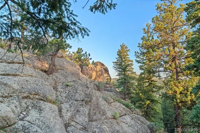 6371 Canyon Creek Road Evergreen, CO 80439