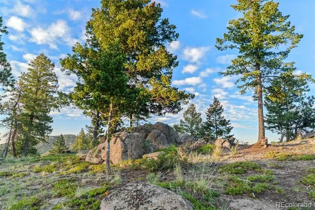 6371 Canyon Creek Road Evergreen, CO 80439