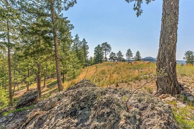 6371 Canyon Creek Road Evergreen, CO 80439