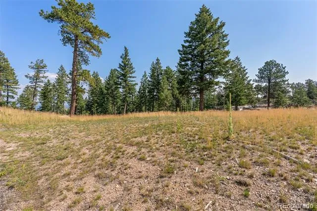 6371 Canyon Creek Road Evergreen, CO 80439