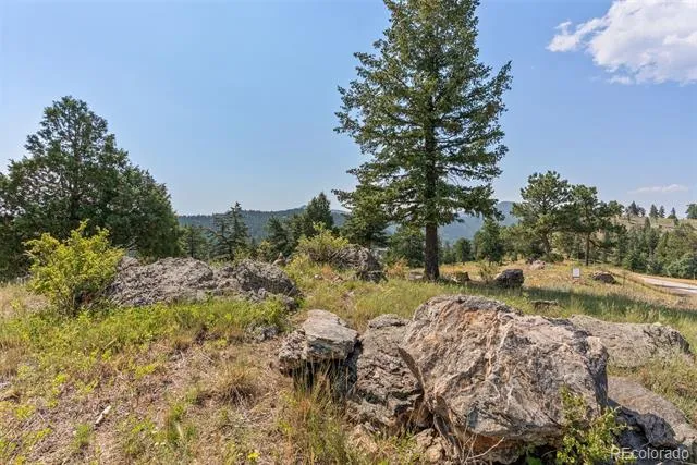 6371 Canyon Creek Road Evergreen, CO 80439