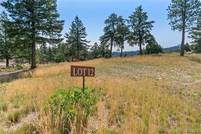 6371 Canyon Creek Road Evergreen, CO 80439
