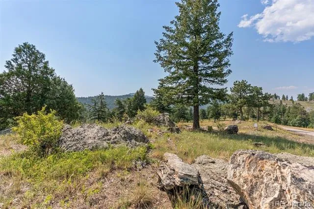 6371 Canyon Creek Road Evergreen, CO 80439