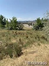 8348 S Carr Way Littleton, CO 80128