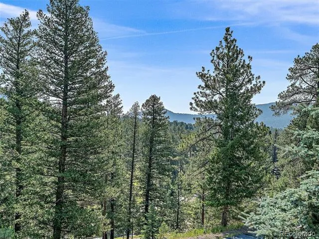 675 Witter Gulch Road Evergreen, CO 80439