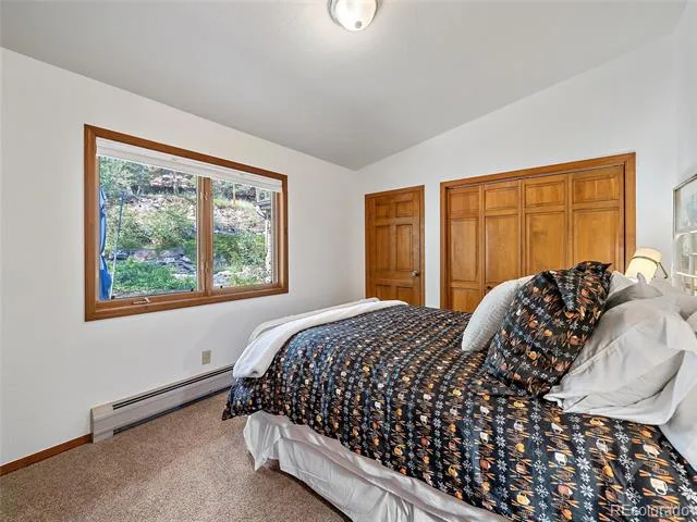 675 Witter Gulch Road Evergreen, CO 80439