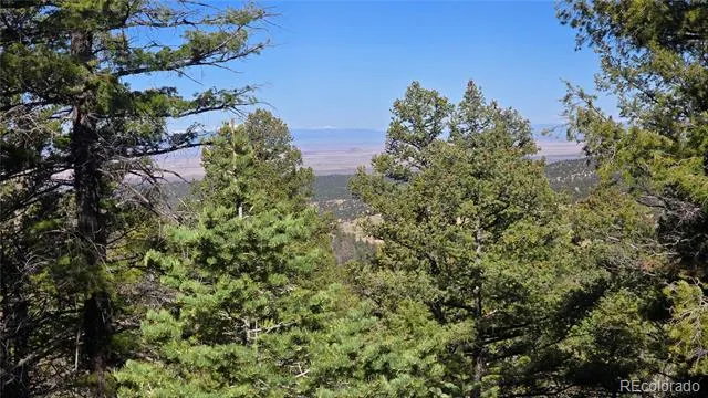 Lot 6034 Wood Road San Luis, CO 81152