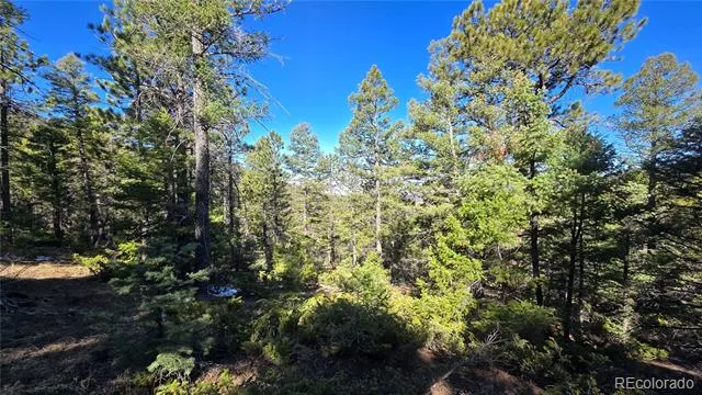 Lot 6034 Wood Road San Luis, CO 81152