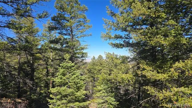Lot 6034 Wood Road San Luis, CO 81152
