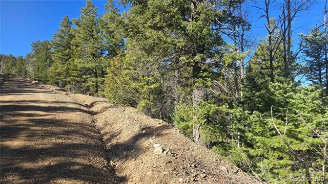 Lot 6034 Wood Road San Luis, CO 81152