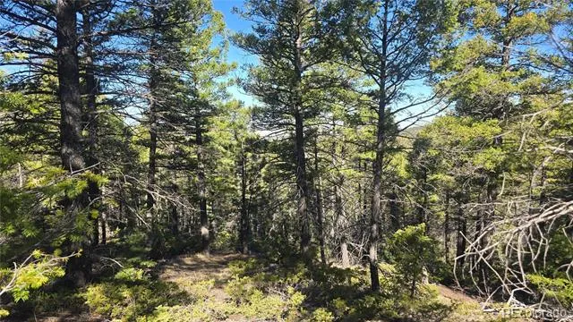 Lot 6034 Wood Road San Luis, CO 81152
