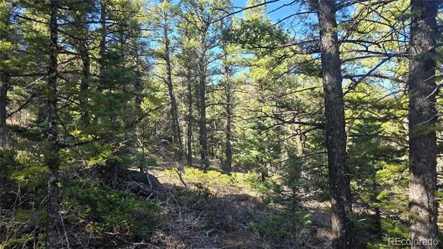 Lot 6034 Wood Road San Luis, CO 81152