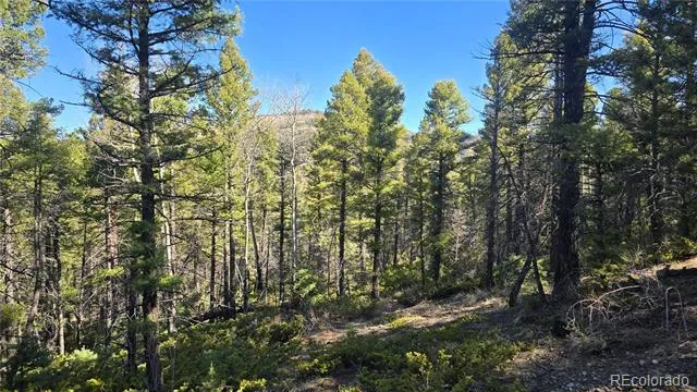 Lot 6034 Wood Road San Luis, CO 81152