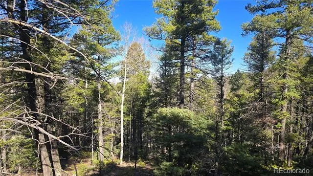 Lot 6034 Wood Road San Luis, CO 81152