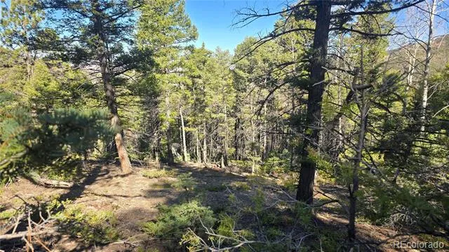 Lot 6034 Wood Road San Luis, CO 81152