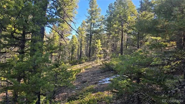 Lot 6034 Wood Road San Luis, CO 81152