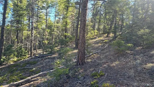 Lot 6034 Wood Road San Luis, CO 81152