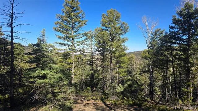 Lot 6034 Wood Road San Luis, CO 81152