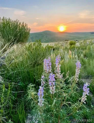 5200 Electric Avenue Westcliffe, CO 81252
