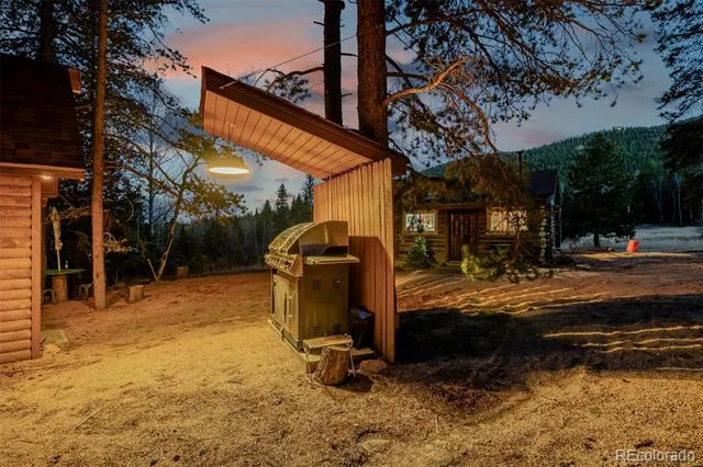 9719 Beaver Pond Conifer, CO 80433