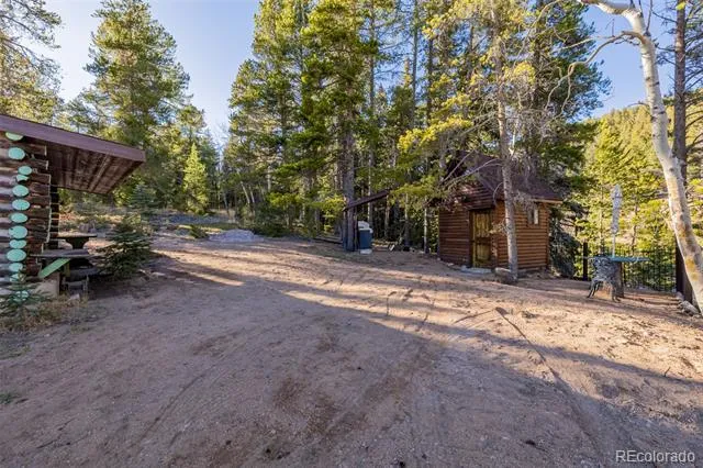 9719 Beaver Pond Conifer, CO 80433