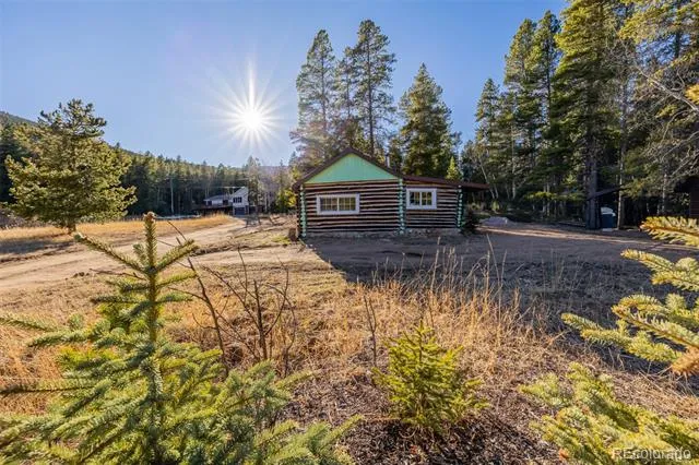 9719 Beaver Pond Conifer, CO 80433